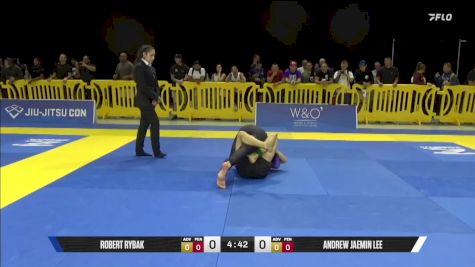 Robert Rybak vs Andrew Jaemin Lee 2025 Pan IBJJF Jiu-Jitsu No-Gi Championship