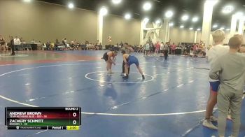 157 lbs Round 2 (16 Team) - Zachery Schmitt, Division-1 vs Andrew Brown, Team Michigan Blue - DEV