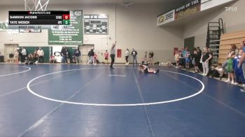 37 lbs Round 1 - Samson Jacobs, Chickasaw Elite Wrestling Club vs Tate Weber, Hudson Pirate Elite