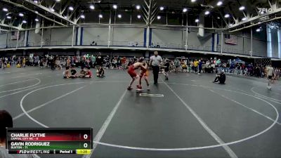 110 lbs Round 4 (6 Team) - Gavin Rodriguez, Buxton vs Charlie Flythe, Capital City WC