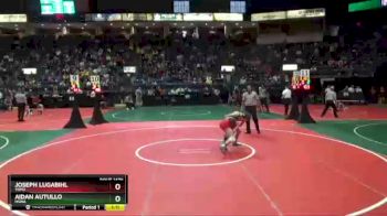 106 lbs Quarterfinal - Joseph Lugabihl, TOM2 vs Aidan Autullo, HSWA