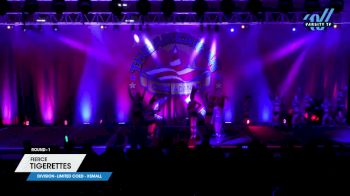 Fierce - Tigerettes [2024 L6 Limited Coed - XSmall 1] 2024 The American Showcase DI & DII