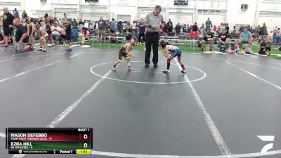 44 lbs Round 1 (6 Team) - Mason DeFebbo, Team West Virginia Gold vs Ezra Hill, 84 Athletes