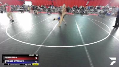 160 lbs Cons. Round 2 - Damien Puma, IL vs Damiano Cappellini, WI