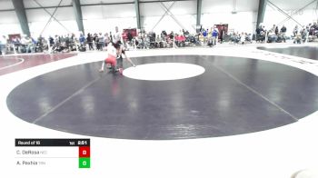 133 lbs Round Of 16 - Chris DeRosa, New England College vs Alex Paxhia, Trinity