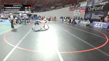 5A Boys 132 lbs Cons. Round 2 - Tyler Bloomfield, West Albany Boys vs Haeden Durighello, Crater Boys