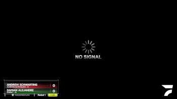 50 lbs Round 1 (8 Team) - Andrew Schwarting, Alabama Elite Black vs Damian Alejandre, SVRWC