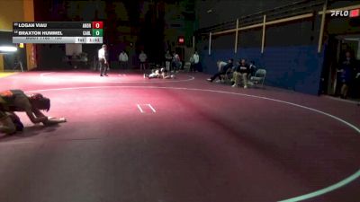 120 lbs 17th Place Match - Logan Viau, Tinley Park (Andrew) vs Braxton Hummel, Carlisle