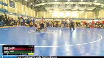 220 lbs Round 1 (4 Team) - Cole Hanson, Noblesville vs Isaiah Wine, Delta