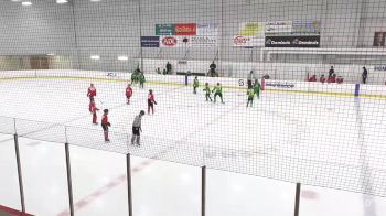 Replay: Home - 2025 Red U12 vs Green U12 | Jun 30 @ 2 PM