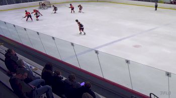 Replay: Home - 2025 Whalers U14 vs WC Swans Gold | Jun 7 @ 9 AM