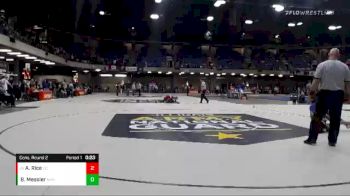 113 lbs Cons. Round 2 - Alec Rice, Dundee Crown vs Ben Messier, Naperville North