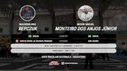 Waldenilson Repczuk vs Mário Miguel Monteiro Dos Anjos 2025 ADCC Brazilian Nationals