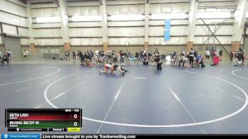 106 lbs Quarterfinal - Seth Lish, Idaho vs Irving Bicoy Iii, Hawaii