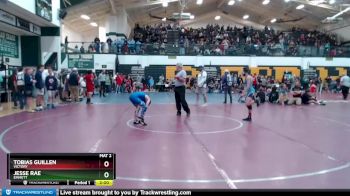 95 lbs Quarterfinal - Jesse Rae, Emmett vs Tobias Guillen, Victory