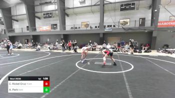 95 lbs Quarterfinal - Cato Rickel Cruz, Team Aggression vs A.p. Park, Independent