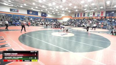 133 lbs Champ. Round 2 - Dominik Mallinder, Wisconsin-Whitewater vs Robbie Fisher, Nebraska Wesleyan University