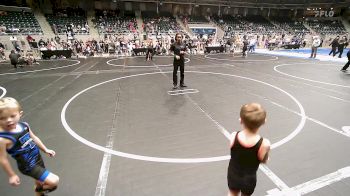 46 lbs Round Of 32 - Grayson Beene, Tulsa Blue T Panthers vs Hudson Teel, Sperry Wrestling Club