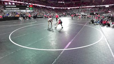 165 lbs Semis - Jaxon Busse, Iowa-Grant/Highland vs Logan Peterson, Cumberland