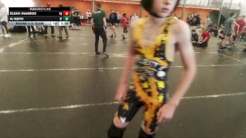 95 lbs Round 3 (6 Team) - Donovan Randall, Team Palmetto vs Logan Robyck, Project Destiny