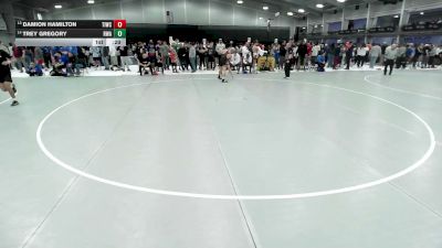 165 lbs Cons. Rd Of 32 - Trey Gregory, Roundtree Wrestling Academy vs Damion Hamilton, Team Idaho Wrestling Club