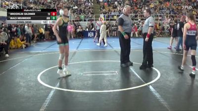 102 lbs Cons. Semi - Brooklin Gildner, Teays Valley vs Maci Neumeier, Arbiezen