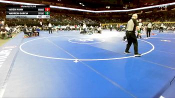 126 Class 3 lbs Semifinal - Aiden Hahn, Farmington vs Andrew Garcia, St. Pius X (Kansas City)