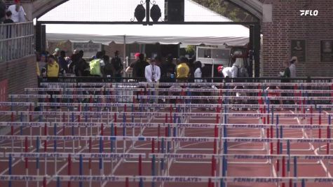 Men's 110m Hurdles, Finals 4