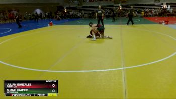 125 lbs Semifinal - Julian Gonzales, Albert Lea vs Shane Kramer, Hutchinson