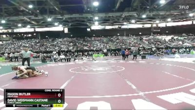 113 lbs Cons. Round 2 - Mason Butler, Fruitland vs David Weismann Castaneda, Forest Grove