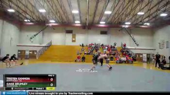 285 lbs Finals (2 Team) - Tristen Gammon, North Posey vs Gaige Brumley, Washington