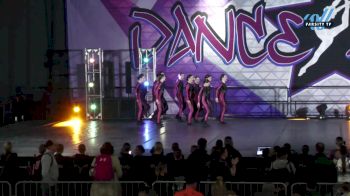 Studio 22 - Junior Jazz [2024 Junior - Jazz - Small Day 1] 2024 DanceFest Grand Nationals