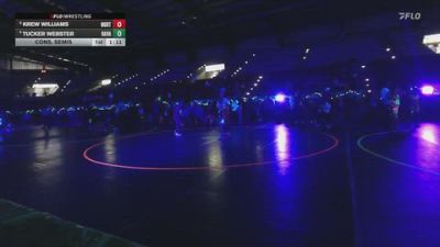 74 lbs Cons. Semis - Tucker Webster, Ravage vs Krew Williams, Northside