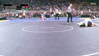 D2-144 lbs Champ. Round 1 - Westyn Haslett, Cadillac vs Wyatt Devasher, Linden