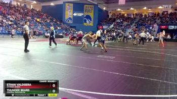 113 lbs Champ. Round 1 - Ethan Valdisera, St Mary Ryken vs Thunder Beard, Central Dauphin HS