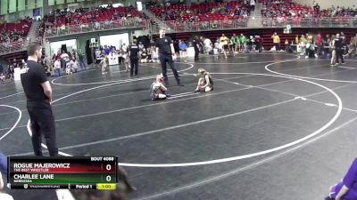 48-49 lbs Semifinal - Rogue Majerowicz, The Best Wrestler vs Charlee Lane, Nebraska