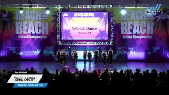 Velocity Dance - Bees-Drop [2023 Youth - Hip Hop Day 1] 2023 ACDA Reach the Beach Grand Nationals - School/Dance