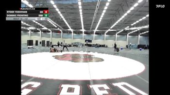157 lbs Round 1 - Ryder Yoshitake, Cornell vs Dominic Frontino, Brown
