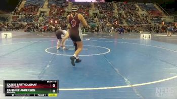 190 lbs Quarterfinal - Cambree Anderson, Bismarck vs Cassie Bartholomay, Central Cass