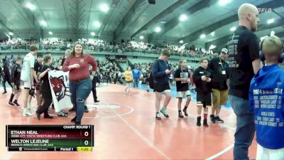 120 lbs Champ. Round 1 - Ethan Neal, Webb City Youth Wrestling Club-AAA vs Welton Lejeune, Bronco Wrestling Club-AAA