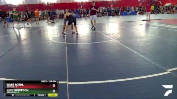 119-124 lbs Round 1 - Gabe Roehl, Buffalo vs Levi Thompson, Princeton