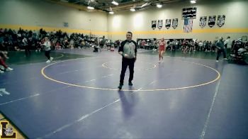 110 lbs Quarterfinal - Samantha Schmelig, St. Pius X (Festus) vs Ashton Mayes, Nixa