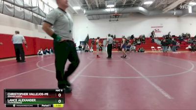 113 lbs 7th Place Match - Lance Alexander, Thunderridge vs Christopher Vallejos-Meredith, Denver North