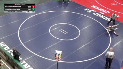 117 lbs Round Of 64 - Waylynn Barrows, Montgomery vs Cutter Perryman, Bald Eagle Area