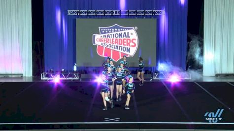 Trinity All Stars Amethyst [2018 Senior - D2 2 Day 1] 2018 NCA North Texas Classic