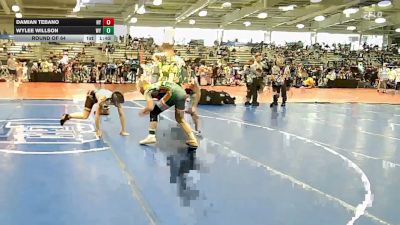 132 lbs Round Of 64 - Damian Tebano, NY vs Wylee Willson, WY
