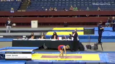 Kaleb  Sorrels  - Double Mini Trampoline, Basels All Star Gymnastics and Cheer  - 2021 Region 3 T&T Championships