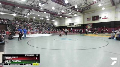 100 lbs Quarterfinal - Jasmin Figueroa, JW North vs Evelyn Lopez, Hamilton HS