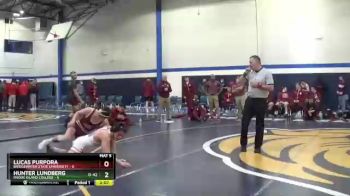 133 lbs Placement (16 Team) - Lucas Purpora, Bridgewater State University vs Hunter Lundberg, Rhode Island College