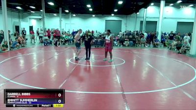 250 lbs Placement Matches (8 Team) - Darrell Bibbs, Illinois vs Emmitt Summerlin, Pennsylvania Blue